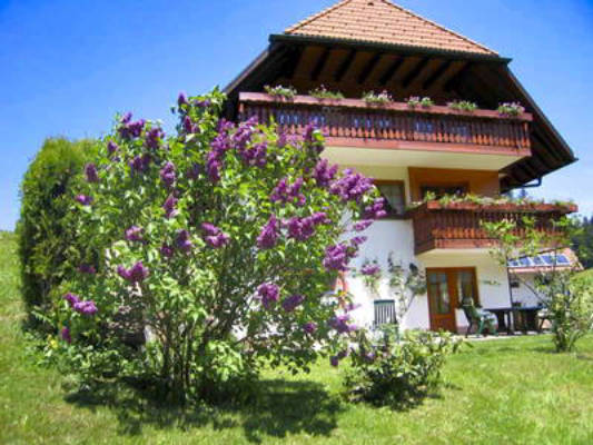Schreinerhäusle