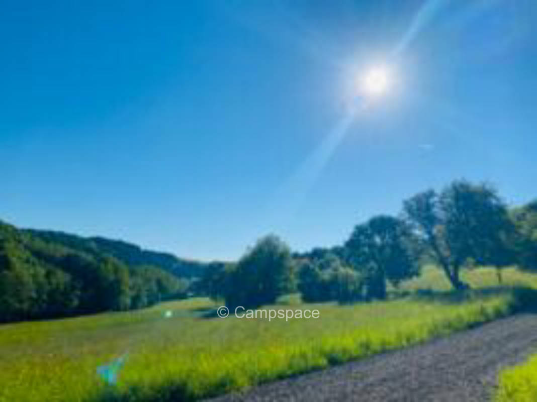 Pitch in a quiet location, next to the forest. Near Dino park