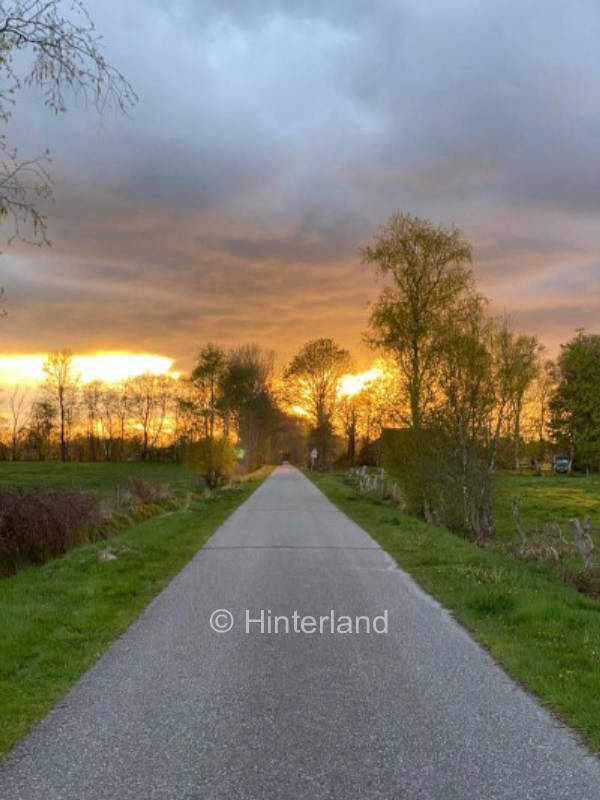 Urlaub zwischen Moor und Meer in der Natur hautnah