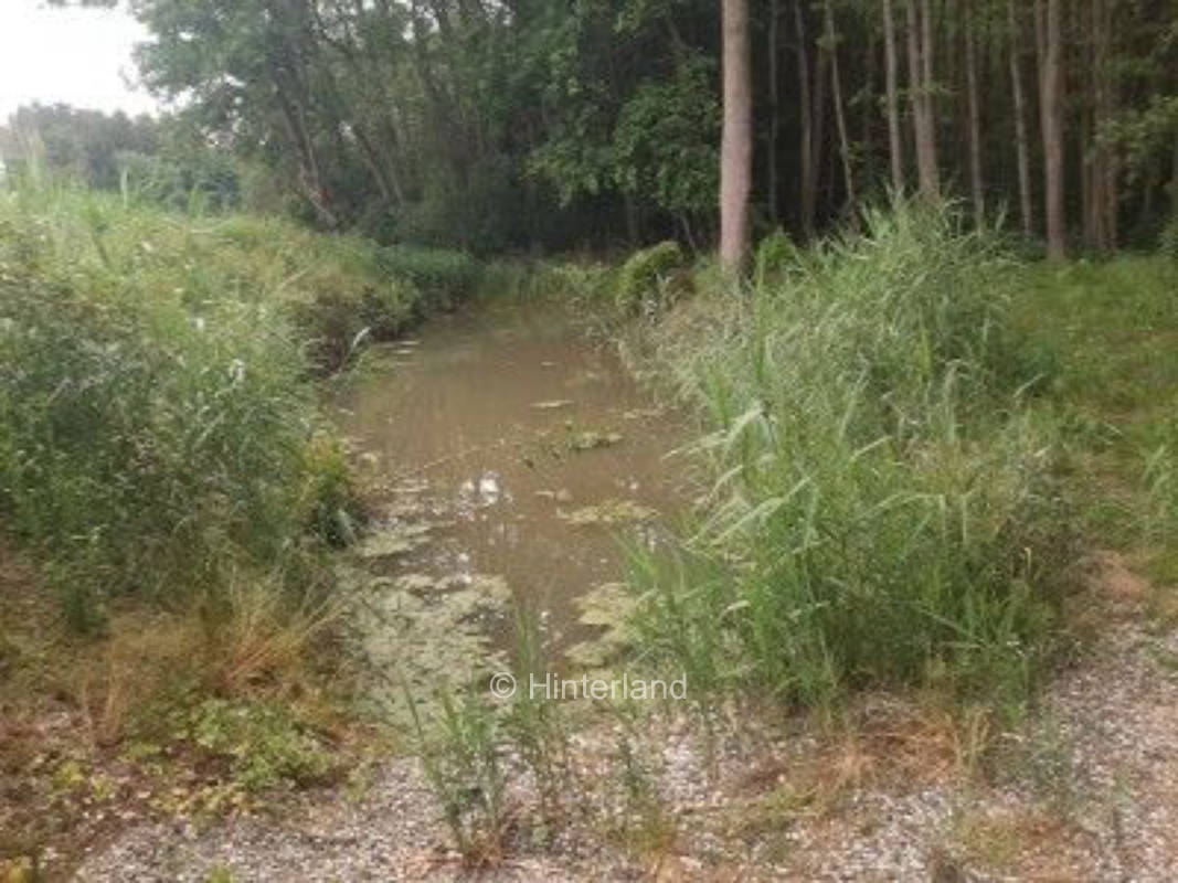 Oase am Naturweiher in absoluter Alleinlage