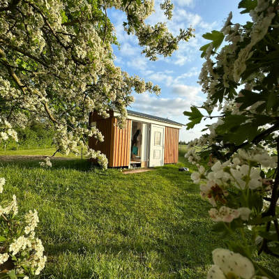 Idyllic grazing wagon in the north