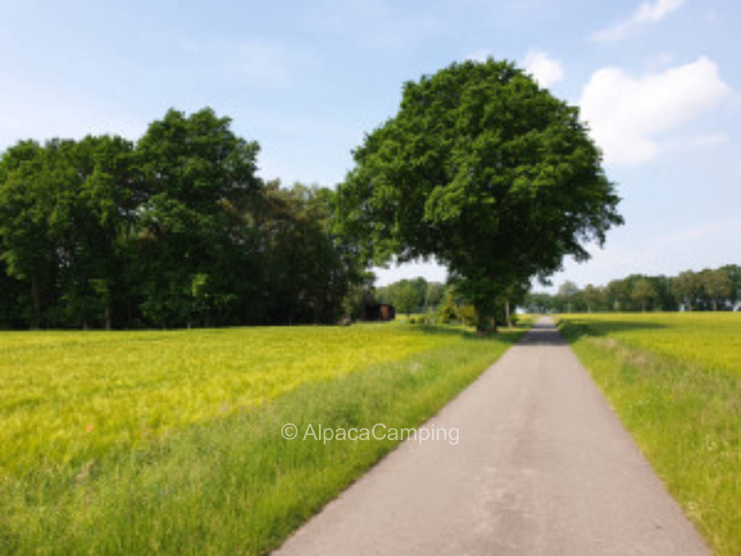 Ruhiger Wohnmobilstellplatz beim Pietzmoor #3