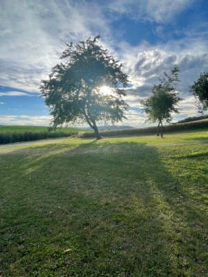 Naturcampen am Bauernhof - in der Nähe der Wachau