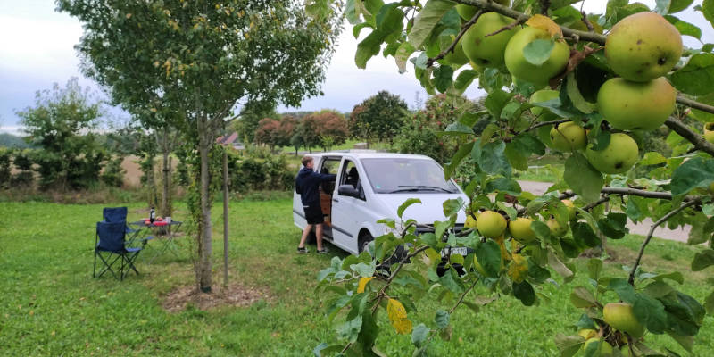 Schone streuobstwiese am ortsrand