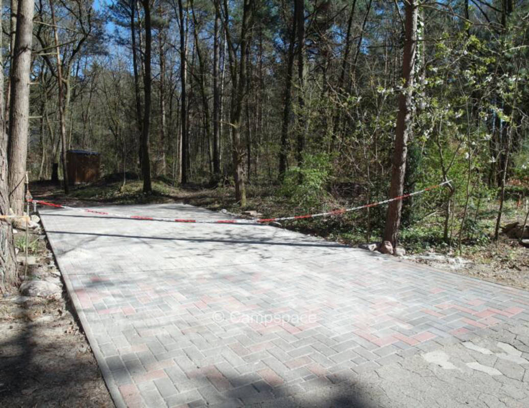 Waldstellplatz Südheide