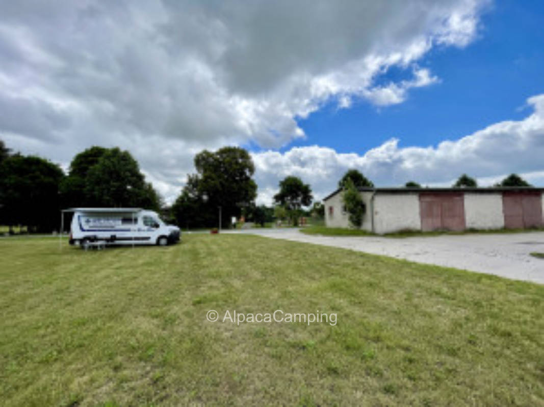 At the Swedish flower chickens #3