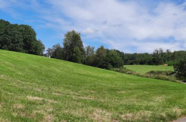 Camping with forest view in Wenden