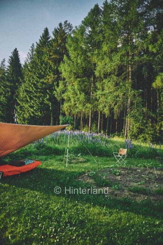 Zwischen Wald und Wiesen am Wolfsbach