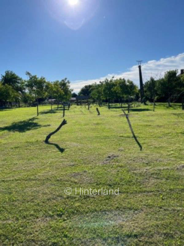 Abschalten direkt an der Donau in Südungarn
