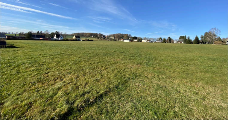 Meadow with view of Bieleboh