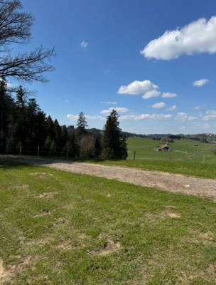 Great view at a secluded forest location