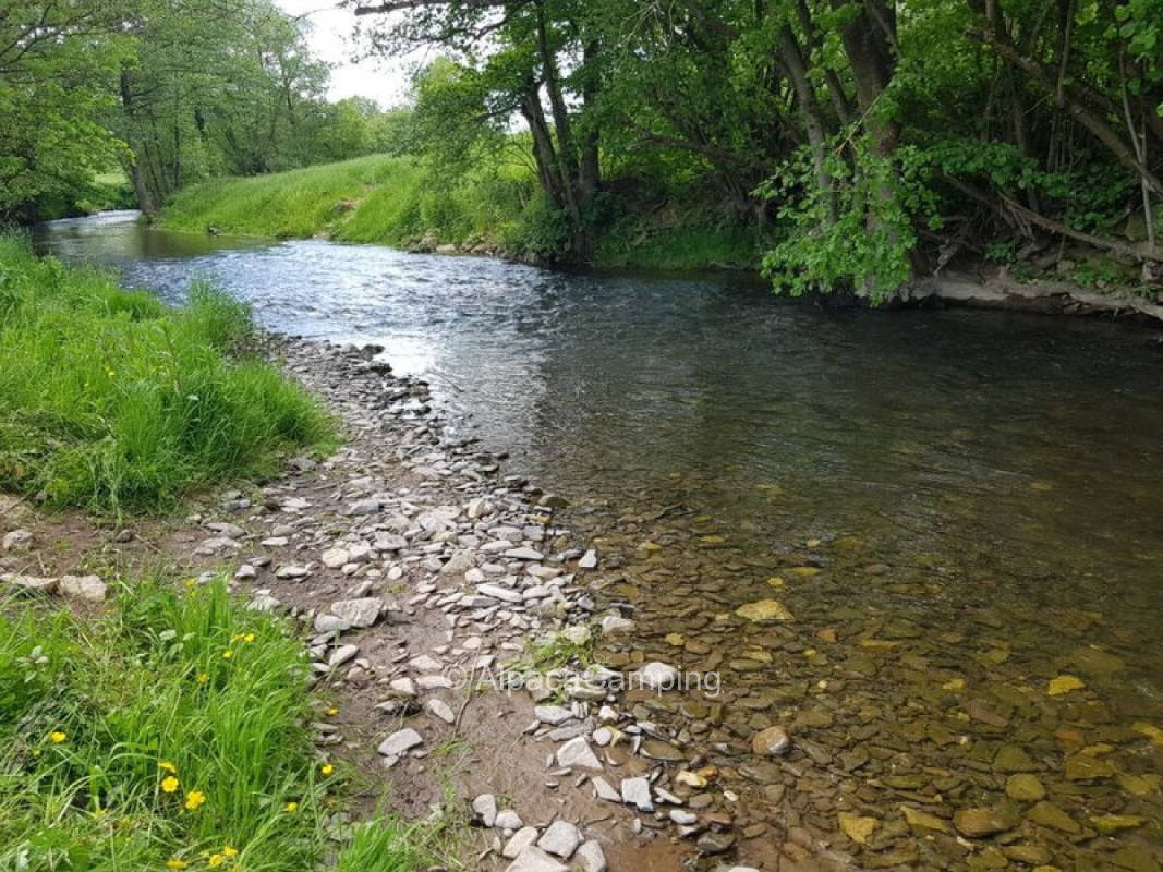 paved pitch no.2 "by the logs".