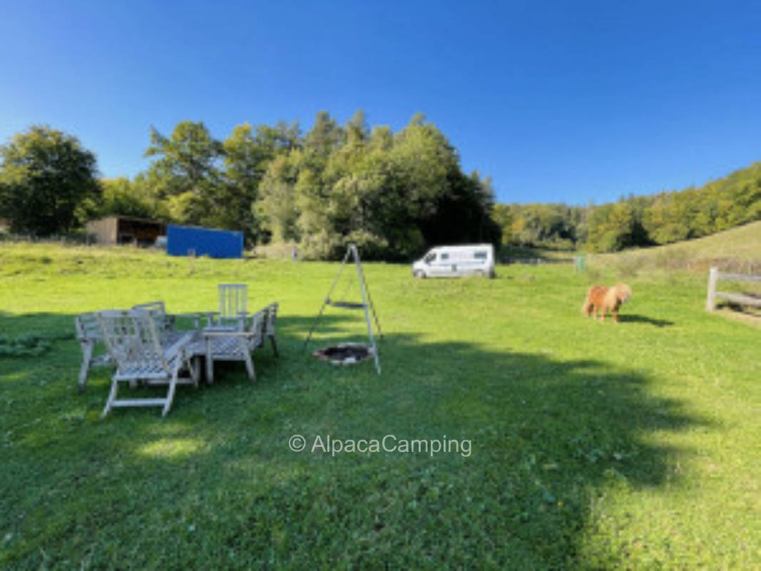 Pitch on the nature experience farm #3