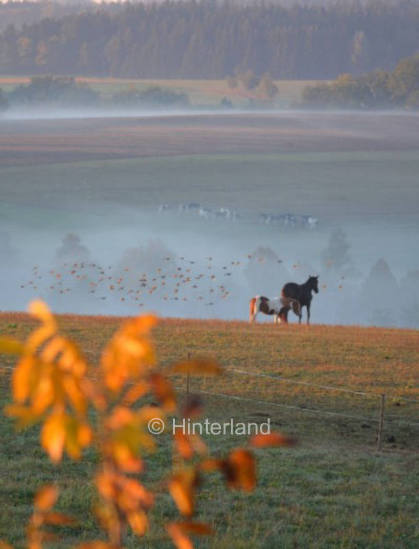 Well-being place and goldsmith with vision