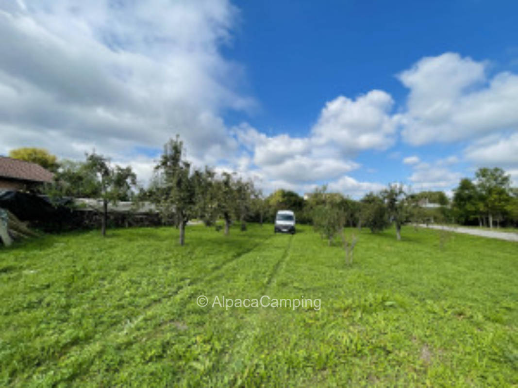 Meadow parking space in Erlenbach #3