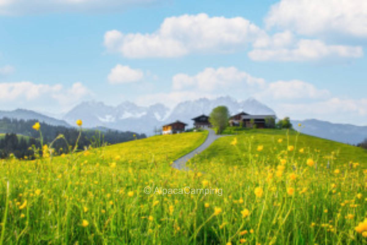 Am Kraftplatz Kitzbühel, privater Stellplatz