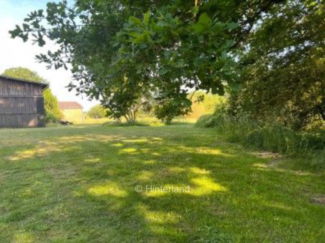 Die eigene Heide vor der Haustür