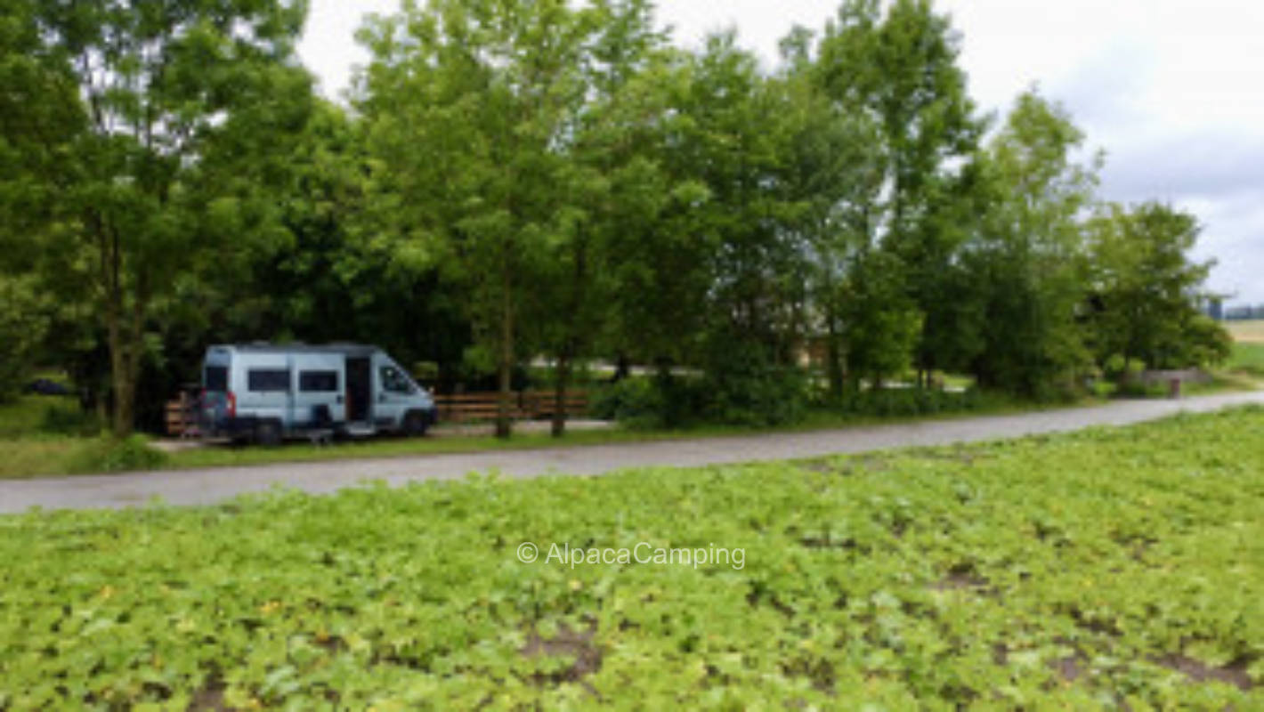 Hofstelle Höchfelden #3