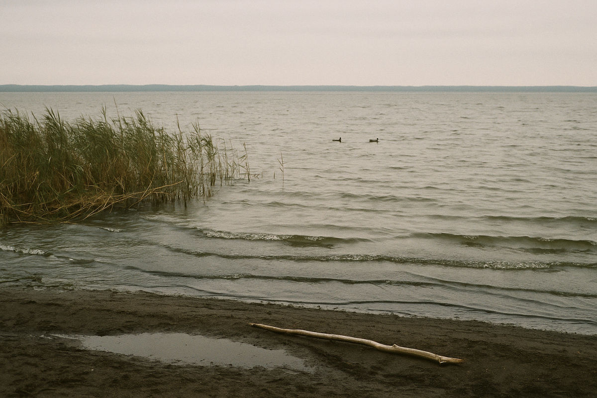 Die Müritz – KI-generiertes Symbolbild