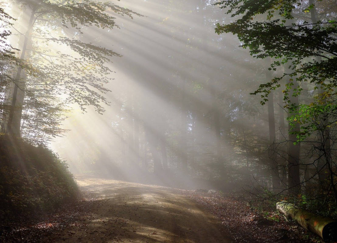 Der Schwarzwald - Ein möglicher Stellplatz?