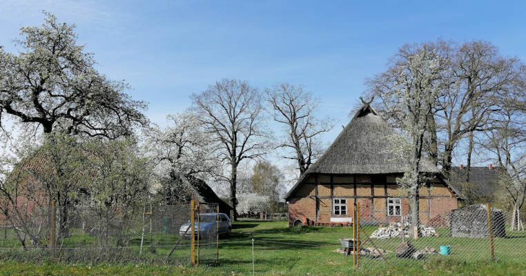 Hauskoppel an der Hofscheune