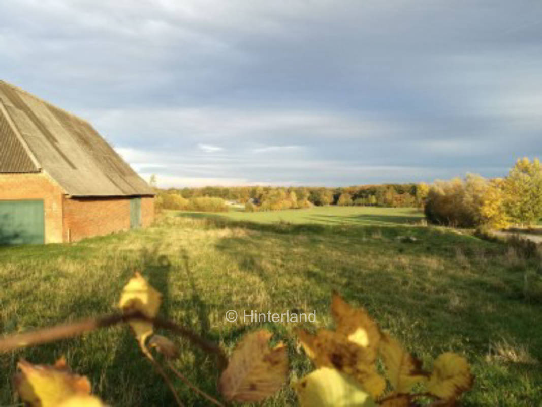 Wiese in malerischer Landschaft – 3 km zur Ostsee