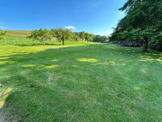 Meadow with a view across the Thuringian Forest