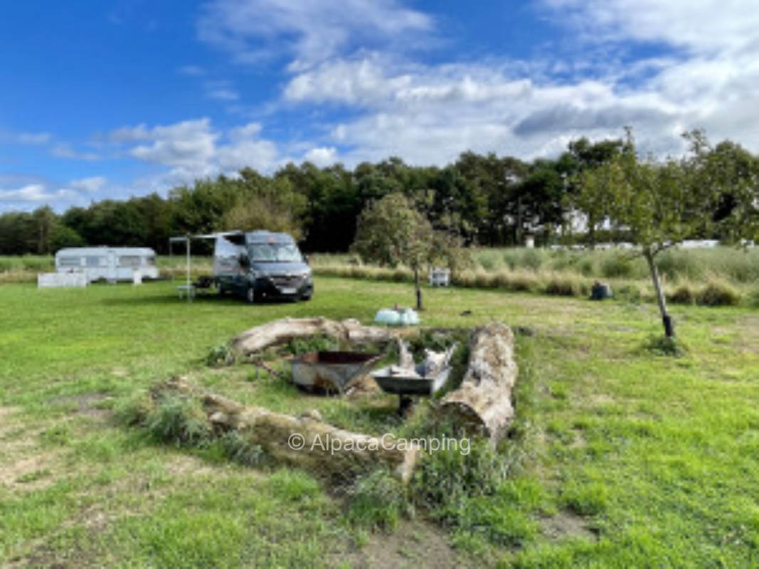 Under the big oak #1