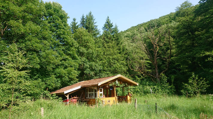 Royal rustikal goldhutte im siebertal harz