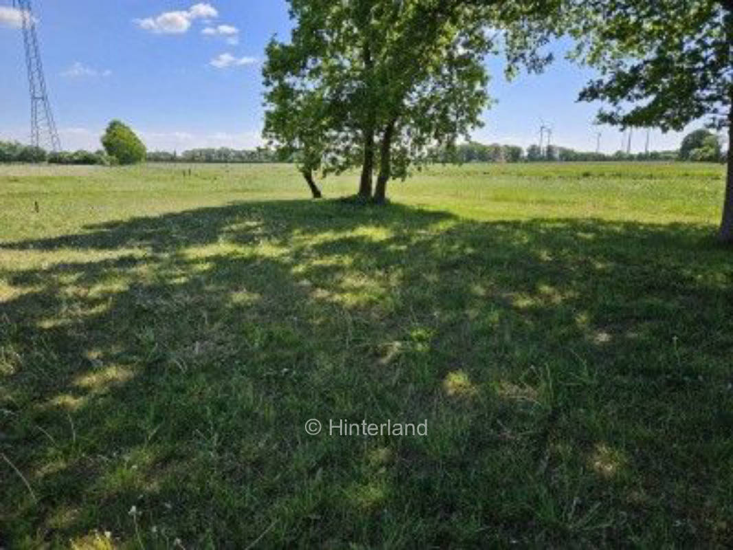 Camping in der Natur