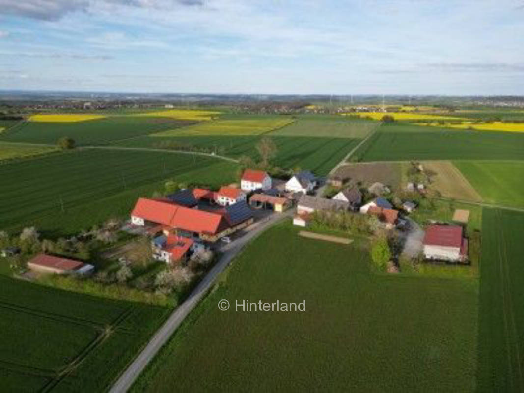 Sterne schauen auf der Apfelwiese
