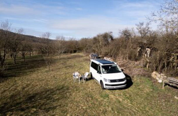Quiet Natural Campsite Obstwiese Steigerwald