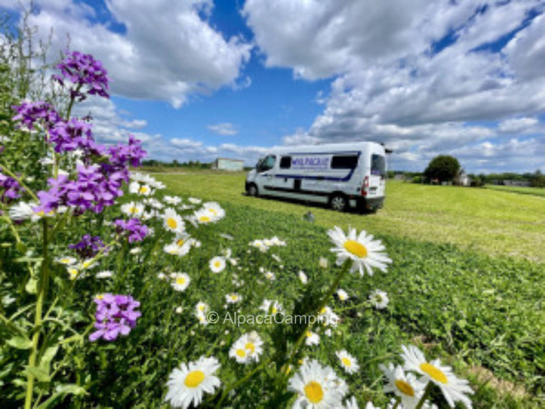 Idyllic time out on the farm #1