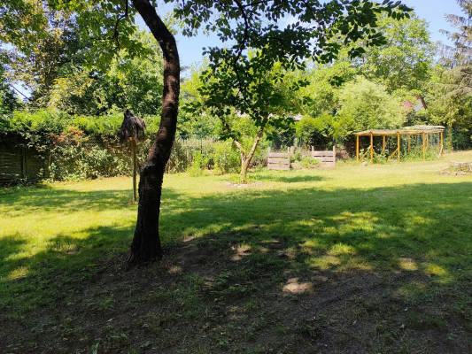 Campsite in the biosphere reserve