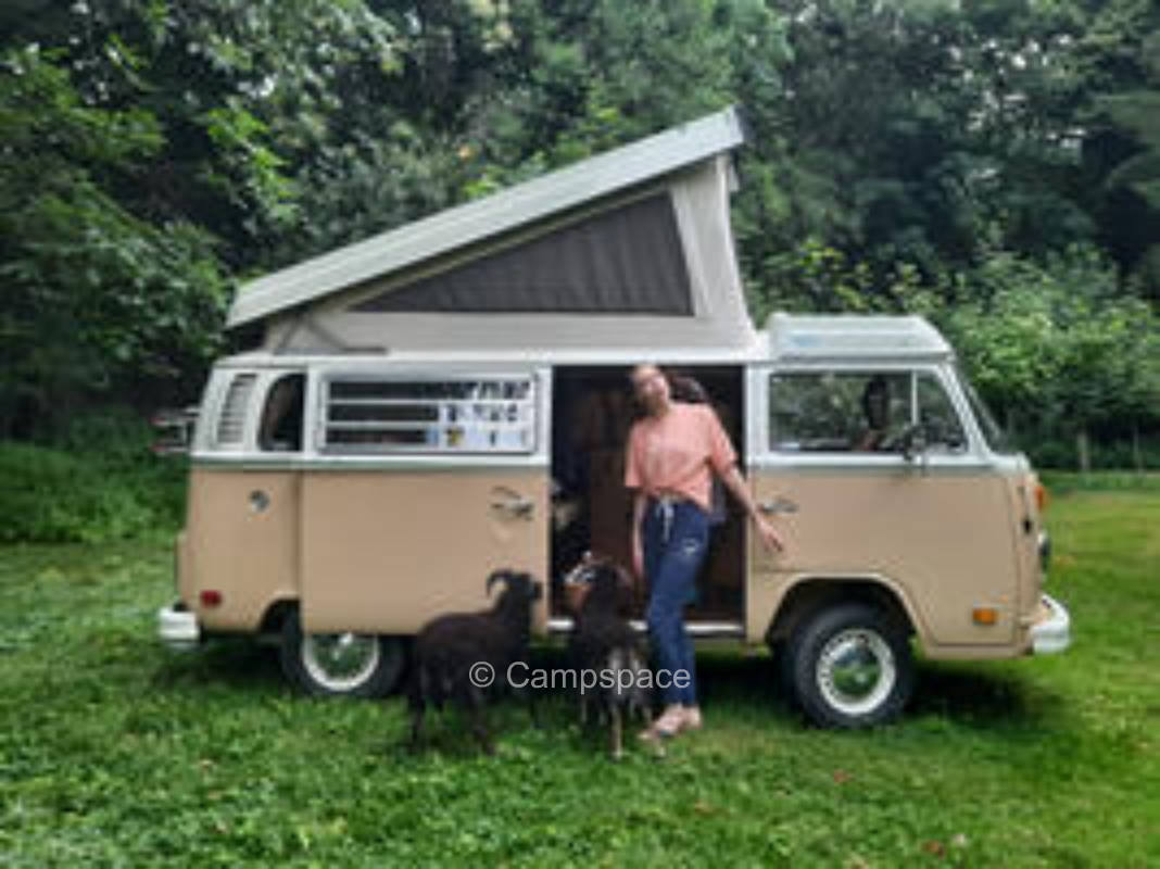 Stellplatz im (Tier)Park zwischen Köln und Bonn (Campspace 2605)