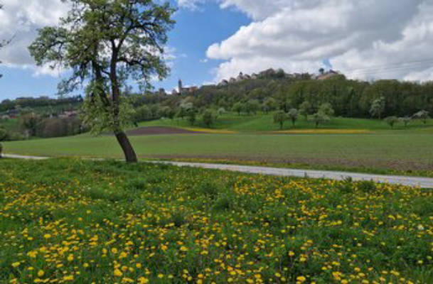 Camping auf dem Bauernhof
