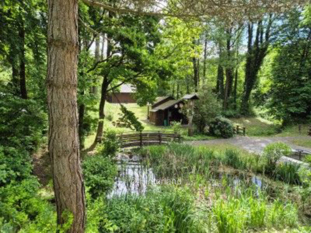 Wohlfühlen im Hochsauerland im schönen Wennetal