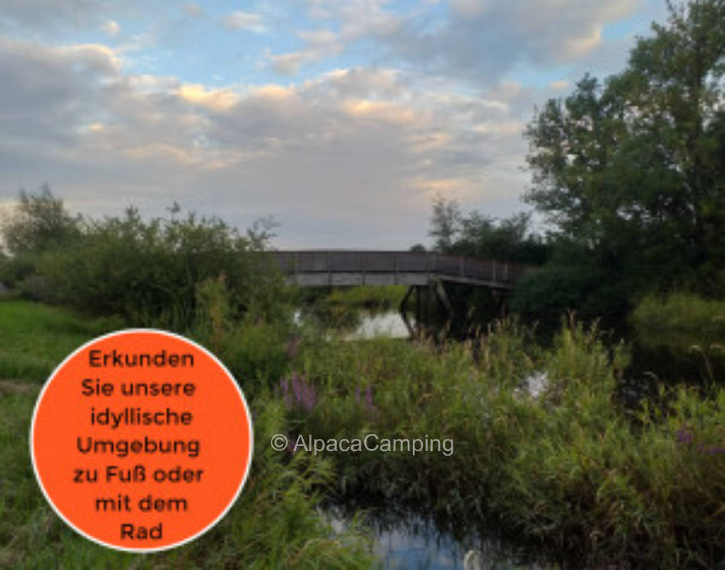 Stördeich Camping Kellinghusen im Holsteiner Auenland #1