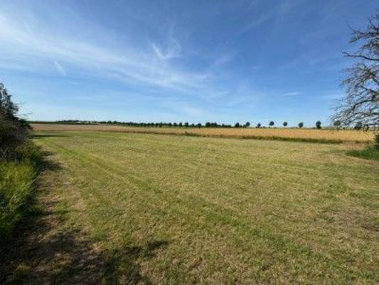 Campsite surrounded by wide fields