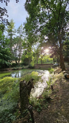 Pond in the forest very peaceful 25000m2