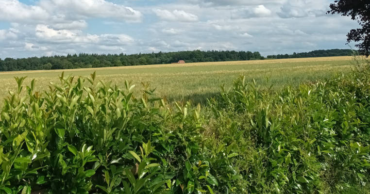 Experience peaceful open spaces – your retreat far from the hustle and bustle