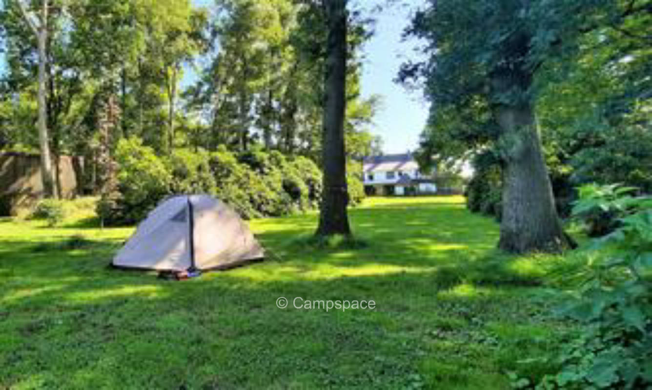 Camping holiday resort in a beautiful park garden.