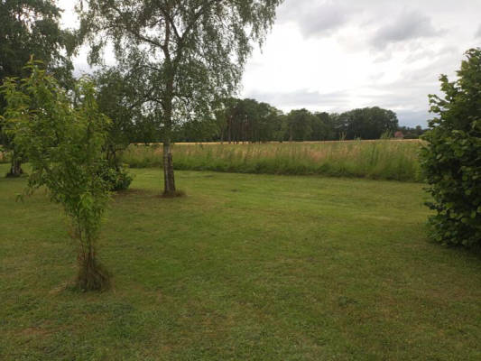 private campsite in nature – outside of Brochterbeck! (Campspace 24542)