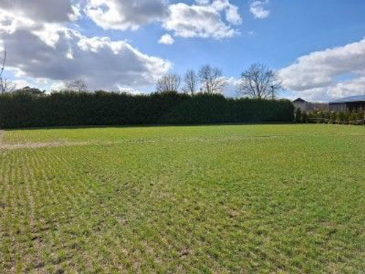 Naturcamping in Woltringhausen: Ruhe & Abenteuer