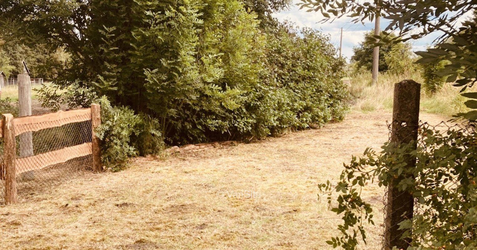 Wiese im Ort gegenüber des Dorfteichs