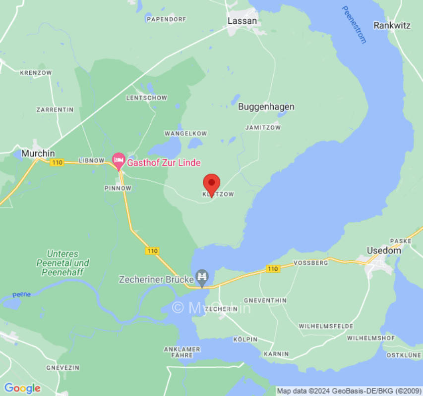 Unter Fichten am Dorfrand mit Blick zum Wald