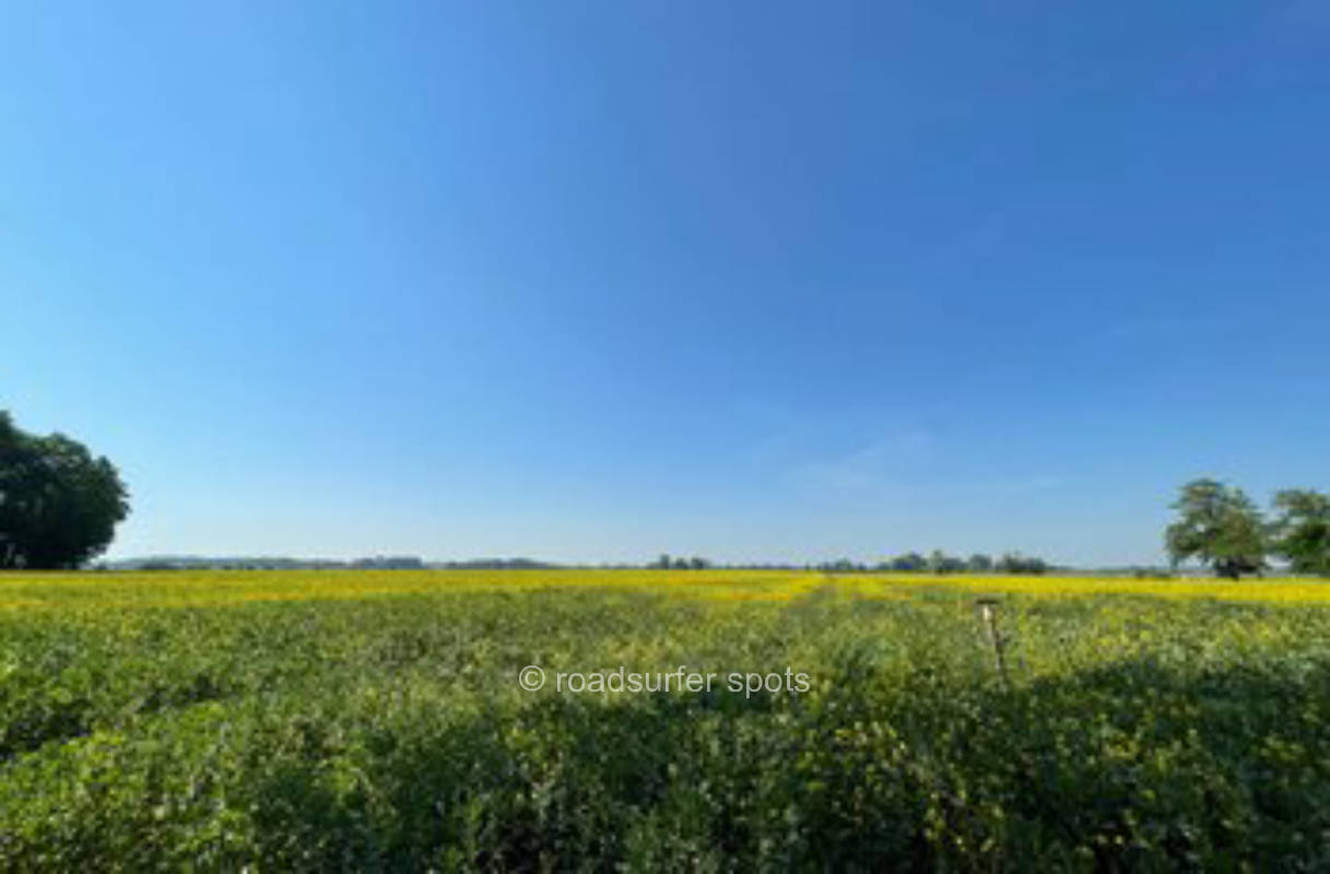 Sunny coastal meadow with wide view over the field