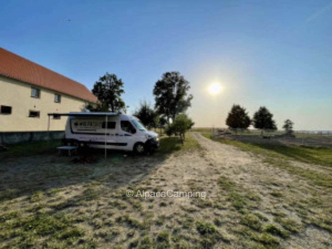 Vacation on the horse farm with the best view in Upper Lusatia #1