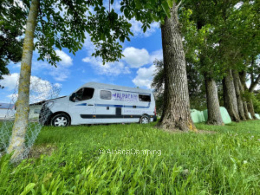 Ruhige naturverbundene Lage #5