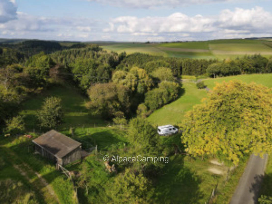 Nature time in the side of the Moselle valley